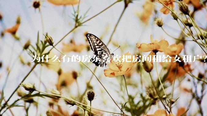 为什么有的房东喜欢把房间租给女租户？
