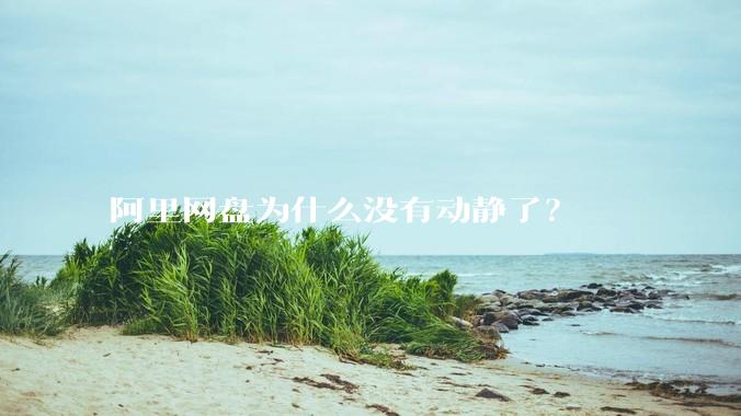 阿里网盘为什么没有动静了？