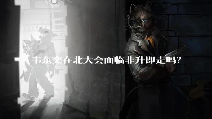 韦东奕在北大会面临非升即走吗？