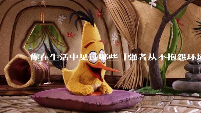 你在生活中见过哪些「强者从不抱怨环境」的例子？
