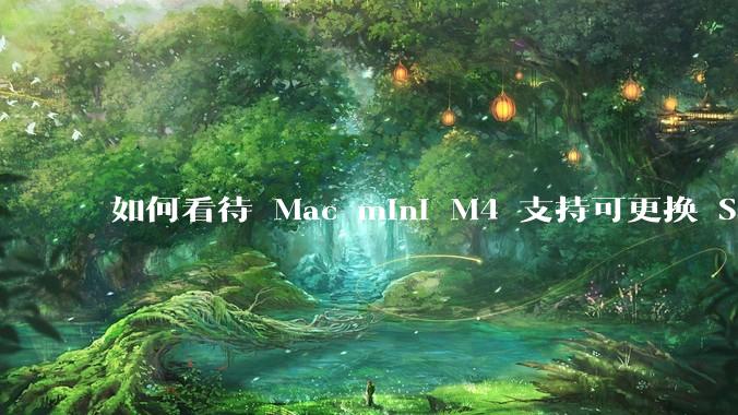 如何看待 Mac mini M4 支持可更换 SSD？